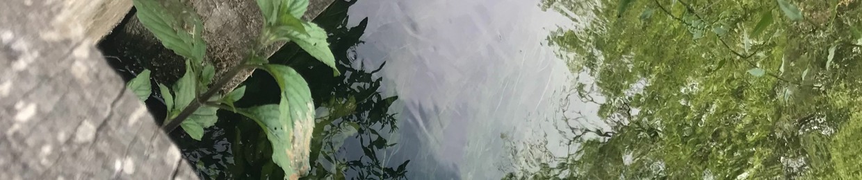 The Silks of Lune