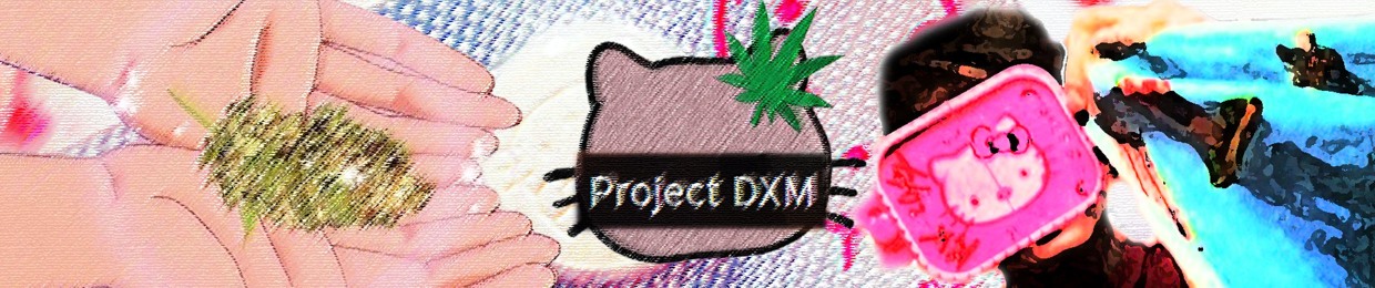 ☯Project=D=X=M= ☯