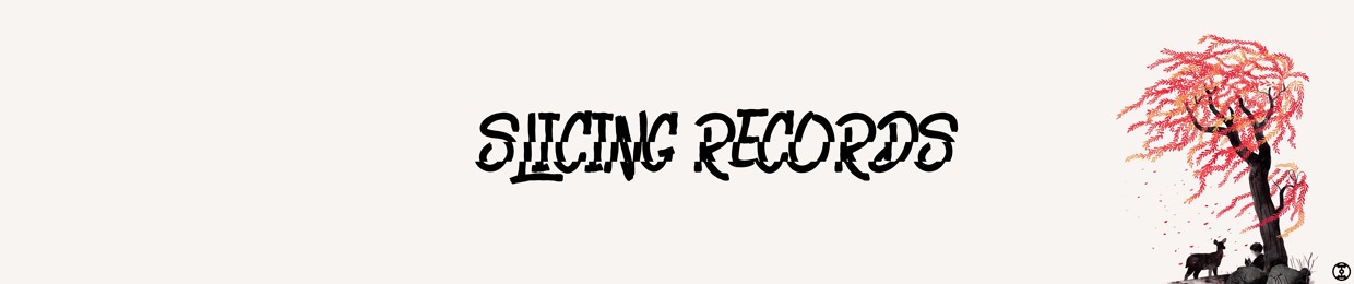Slicing Records