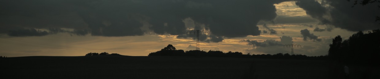 Schattenmann (Krisenstab Berlin)