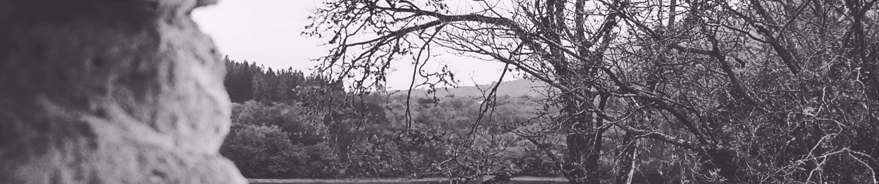 The Series Of Misadventures Of The Brazilian Guy