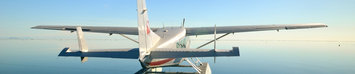 Hribeiro99
