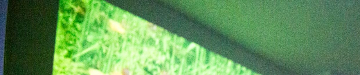 Firefly // Lucie // lulu