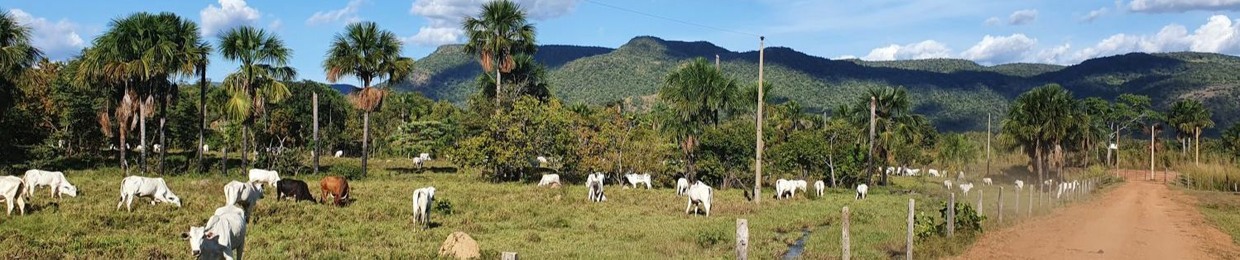 é o cowboy do mandelão