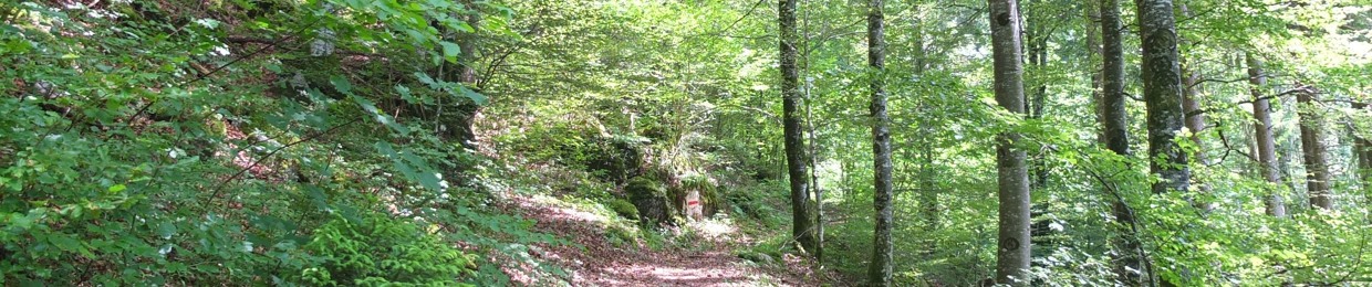 Carroll