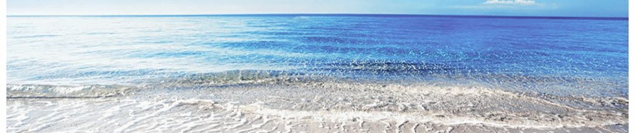 BasicallySpringOfficial