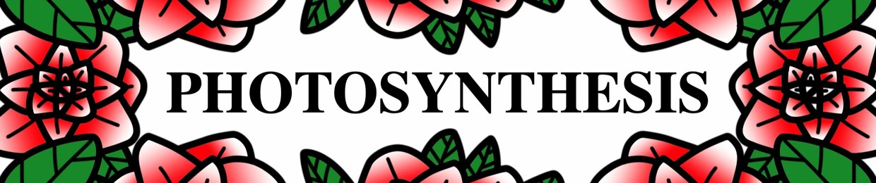 Photosynthesis Crew Official