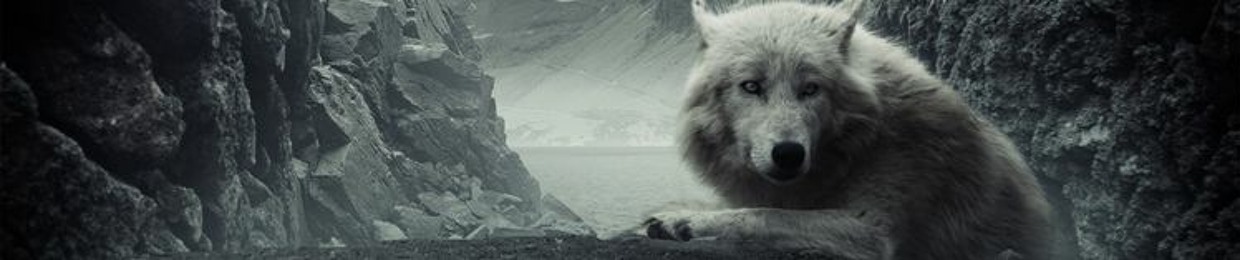 Young Wolf