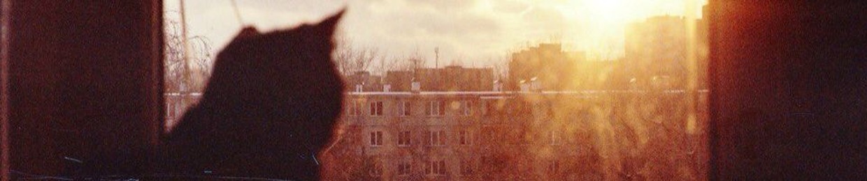 ℛavenBogd 🇺🇦