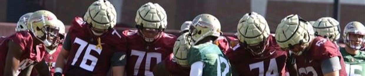 Noles247 on sale