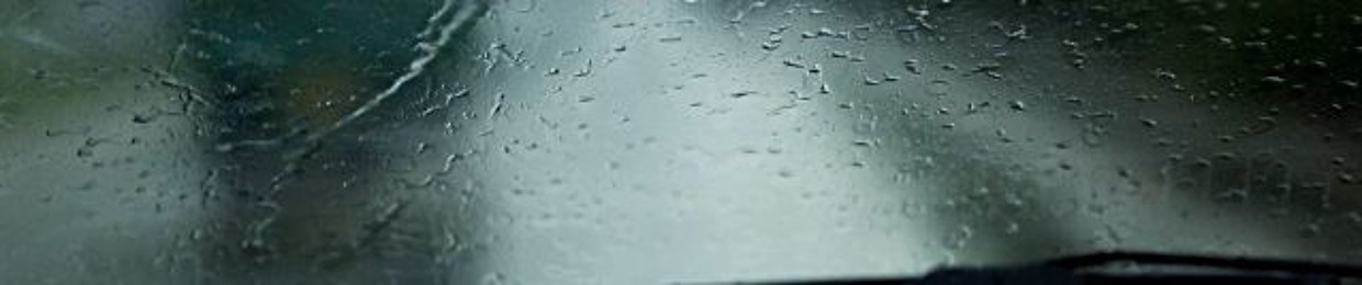 Windshield Wipers