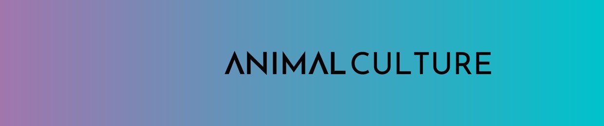 Animal Culture