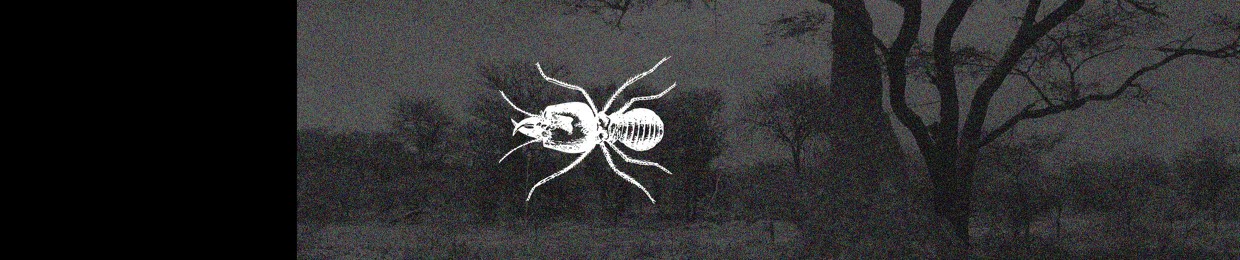 Termites as architects