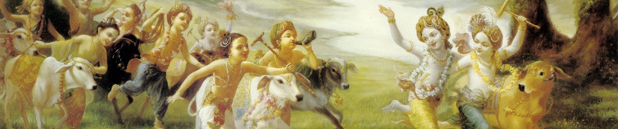 Krishna Kshetra Swami