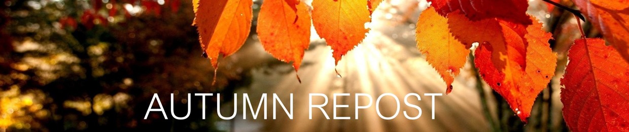 AUTUMN REPOST