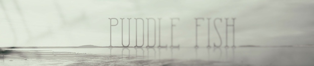 Puddle Fish