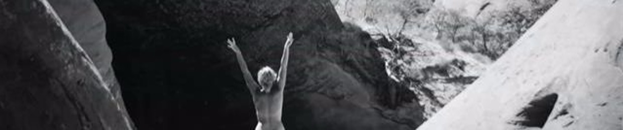 Larry Harper, Autoharpist