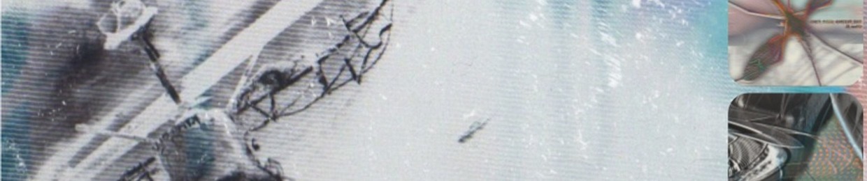 The Flying Star Fish