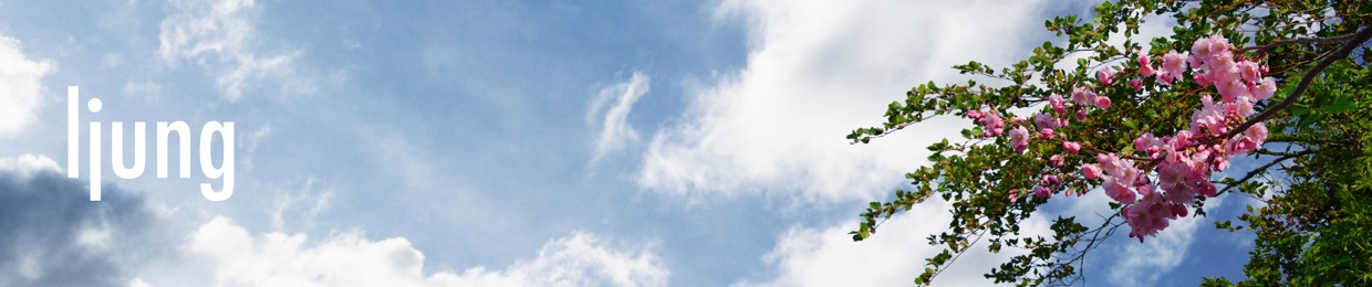 Ljung