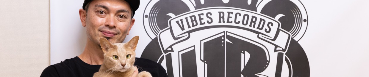 VIBESRECORDS SAMPLER SCHOOL