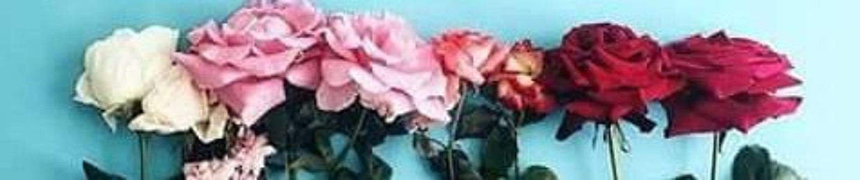 عروسة البحر