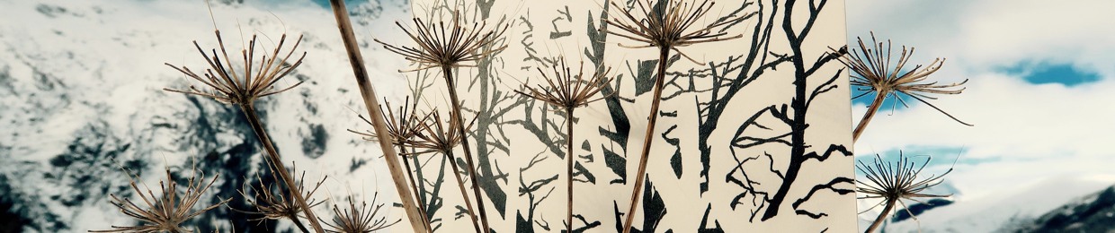 fabrice faure / le tigre blanc