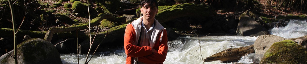 mohammad p