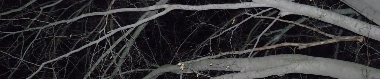 SoundCloud banner for @stabilize