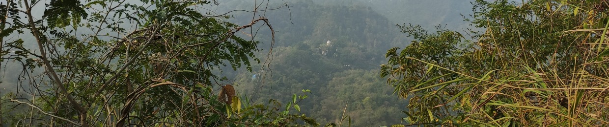 SA Shourav