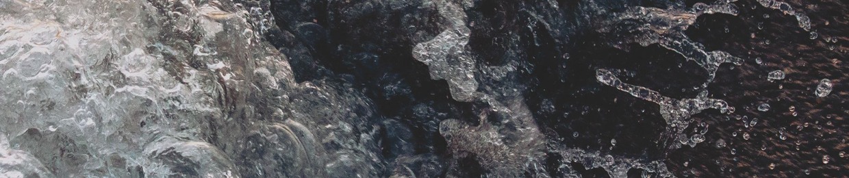 Osyris Alba