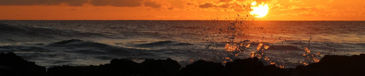 Madrona_89
