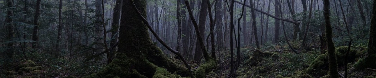 kami