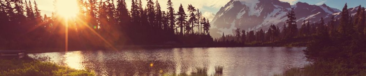 Sacred Elemental Team