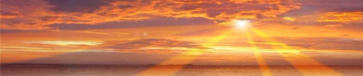 Divine Purpose Insights with Laura Moliter