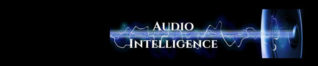 Audio Intelligence