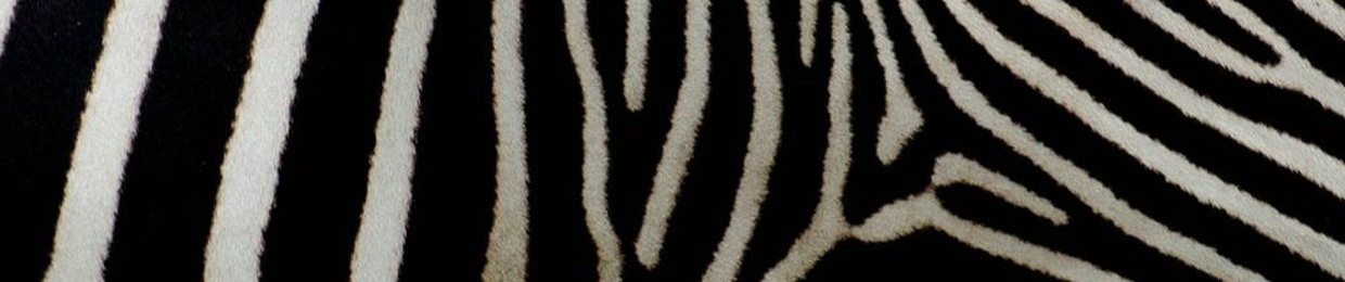 lotophrenia