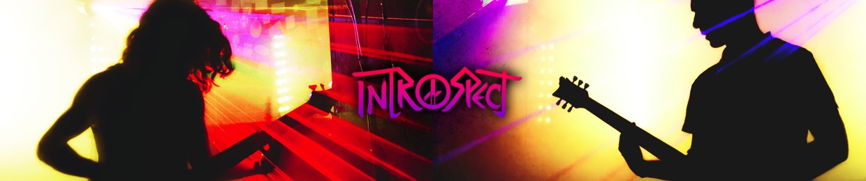 Introspect