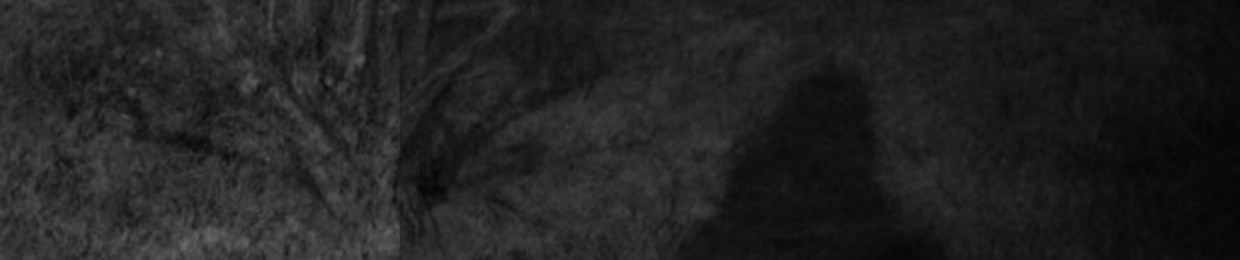 W/Ø