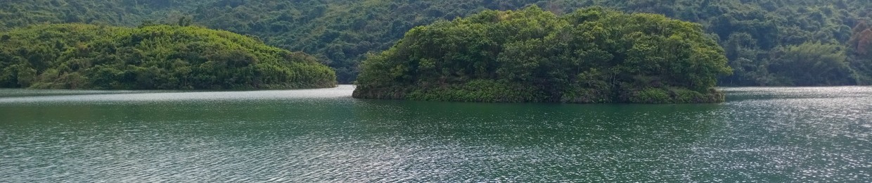 幻影（狼）