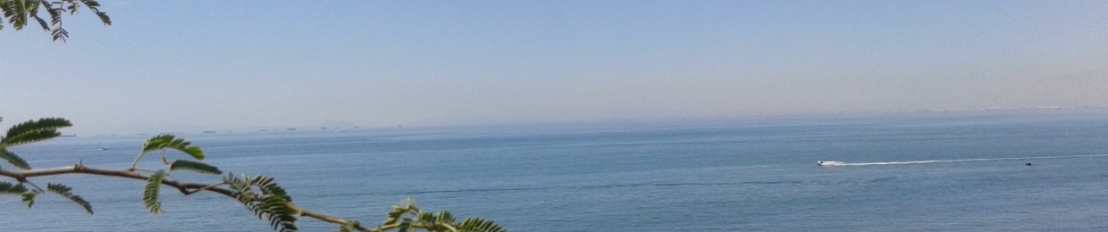Fasaneh