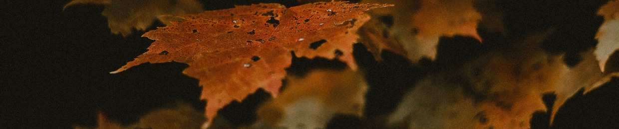 Autumn Theory Records