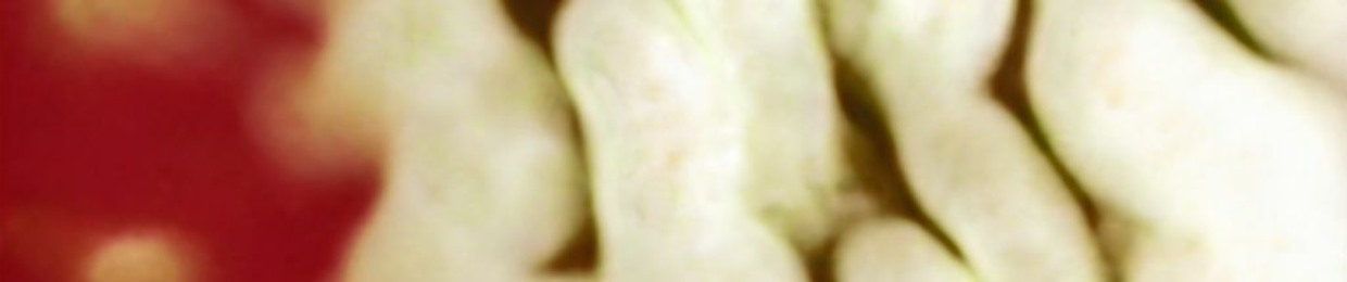 Kiselyatina