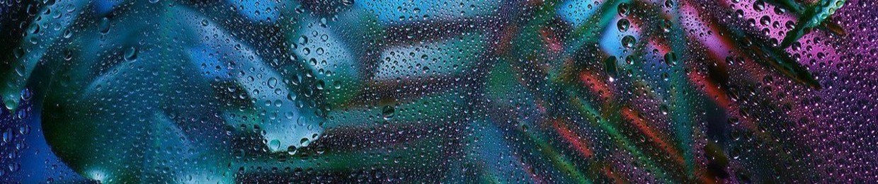 Анна Данилова