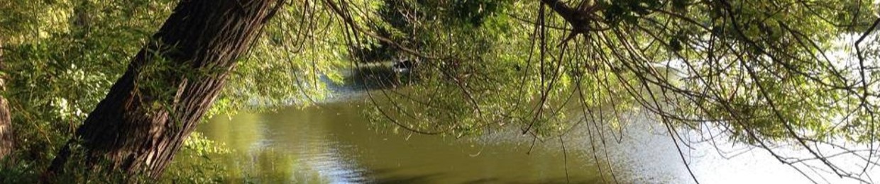 The Thoughtful Runner