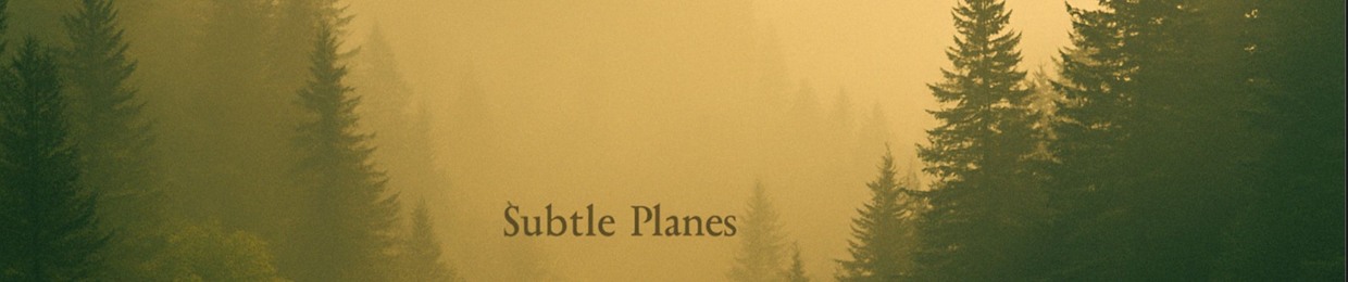 Subtle Planes