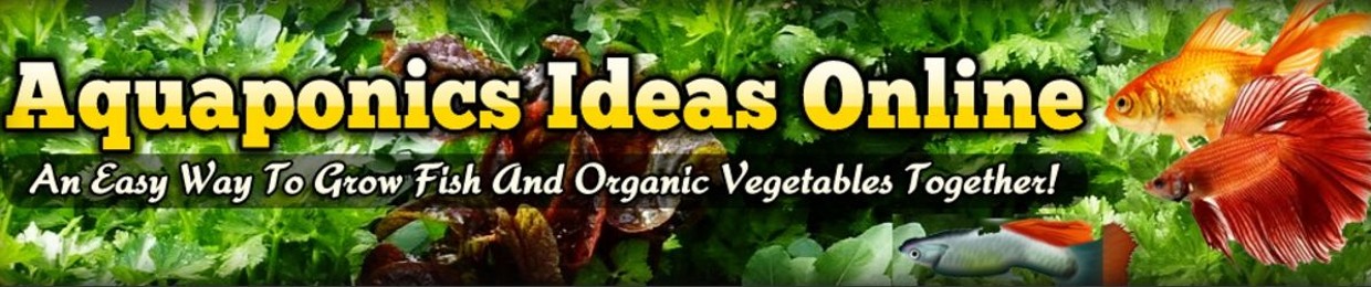 Aquaponics Ideas Online