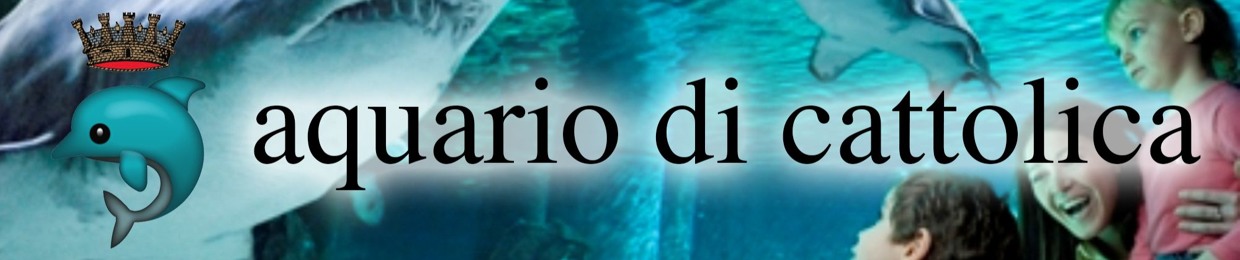 https://aquariodicattolica.bandcamp.com/
