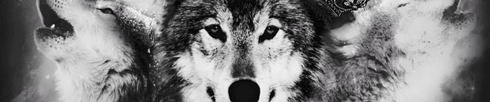 Roster OSu0027s stream