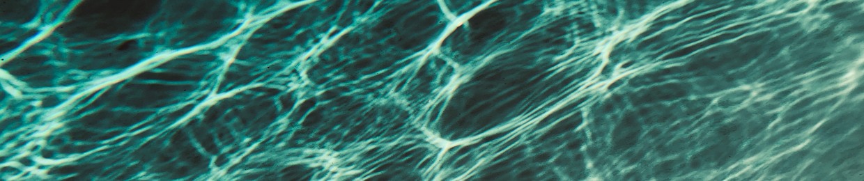 Nikki Flores - BMG Songs