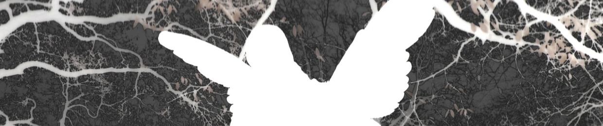 Negative Architecture